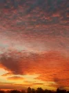 IMG20221023073245.webp