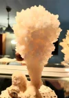 20221005_141034.webp