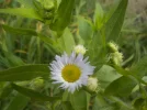 DSCN5478.webp