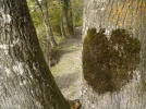 DSCN5482.webp