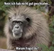 BBD595B9-E2C2-4287-9469-5328736F1365.webp