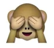 1667577513437.png