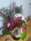 IMG_20221106_175424.webp