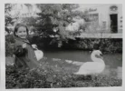1968.jpg
