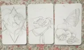 2DBD7280-67CD-4BD9-89E8-8AB4ECEADDED.webp