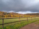 20221115_091451.webp