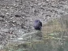 20221115_085141.webp