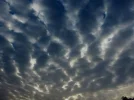 FB_IMG_1664635391801.webp