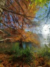 20221101_131120.webp