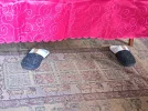 20221126_102902.webp