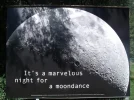 moon.webp