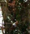FB_IMG_1664635587795.webp