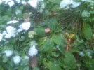 IMG_20221203_092710.webp