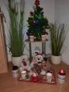 20221211_163705.webp