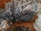 20221214_124132.webp