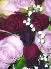 IMG_20221229_033115.webp