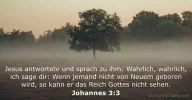 johannes-3-3.jpg