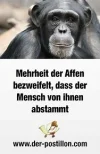 Herunterladen.jpg