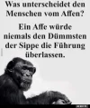 0a009f19958172aa0c4246b1d648c35a.webp