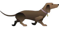 1673205316137.webp