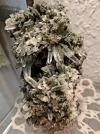 20221214_172828.webp