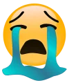1674313979257.webp