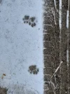 20230121_112110.webp