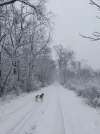 IMG-20230122-WA0010.webp