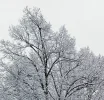 20230122_102531.webp