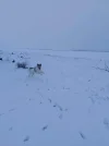 IMG-20230122-WA0016.webp