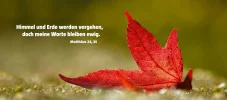 Kalender_2011_10.jpg