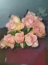 IMG_20230131_043932.jpg