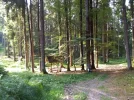 Wildmoosgraben 1_ 2022.webp