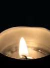 IMG_20230209_005808.jpg