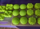 Spülseife.webp