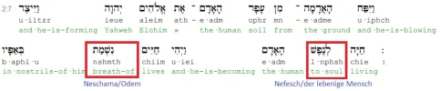 Genesi2_NefN.png