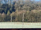 20230207_093846.jpg