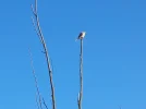 20230214_102430.webp