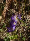 P1060100.webp