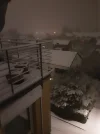 Winter.webp