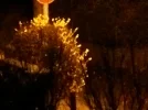 IMG_20230313_032245.webp