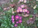 IMG_20230319_121030.webp