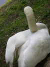 2011 05 06 - OSTPARK 32.webp