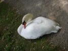 2011 05 06 - OSTPARK 36.jpg