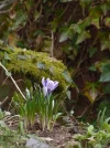 P1060150.webp