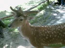 2011 00 00 - WILDPARK 25.webp