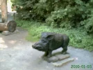 2011 00 00 - WILDPARK 46.webp