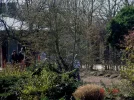 2011 03 23 - VOLKSGARTEN 06.webp
