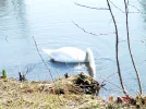 2011 03 23 - VOLKSGARTEN 17.webp