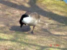 2011 03 23 - VOLKSGARTEN 23.webp